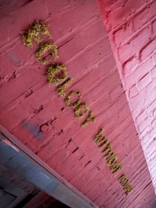 eco-graffiti_angle_c