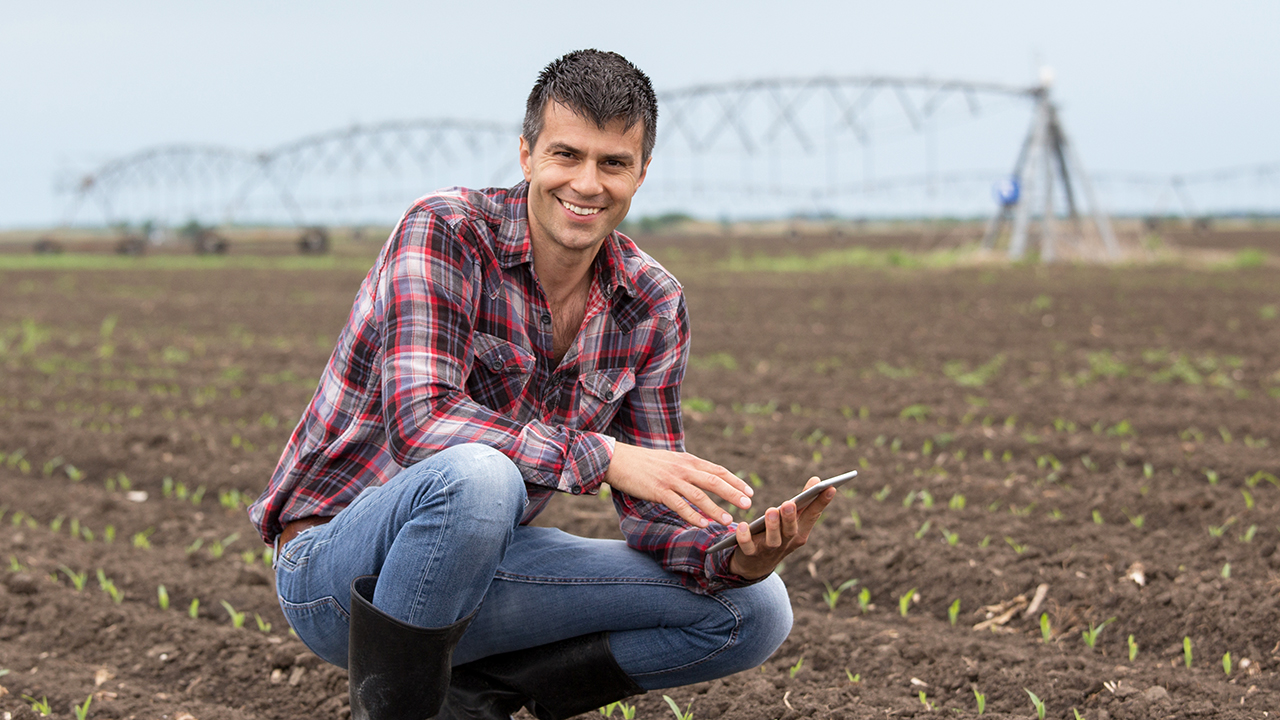 Remote IoT Device Management: Maximizing ROI | Digi International