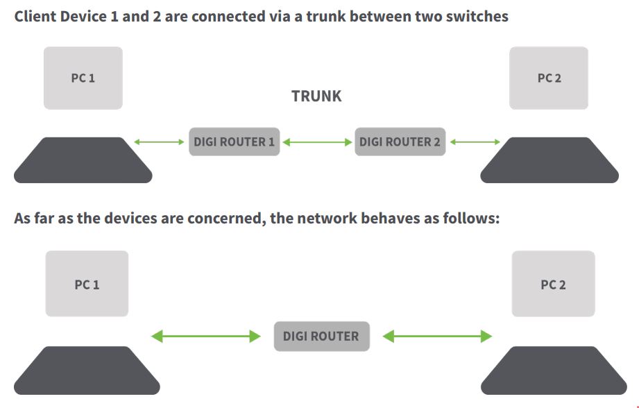 VLAN client devices