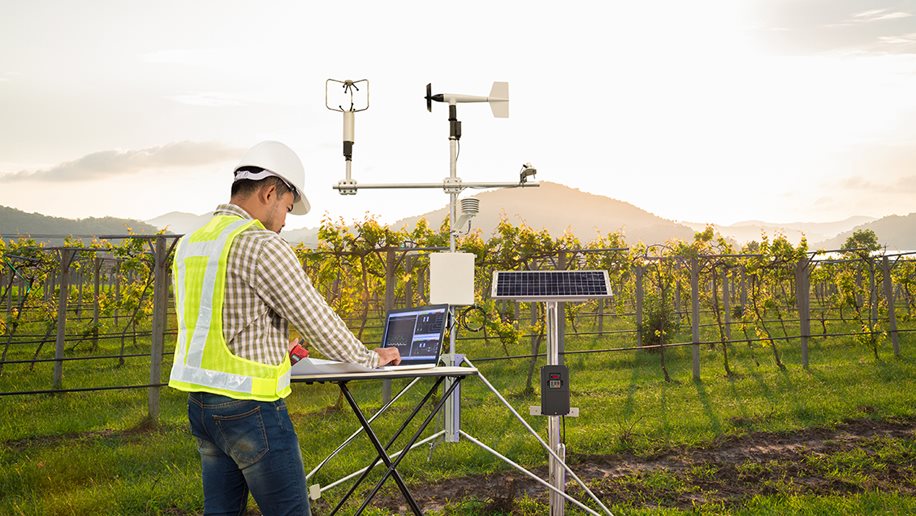 Environmental monitoring sensors in a vineyard