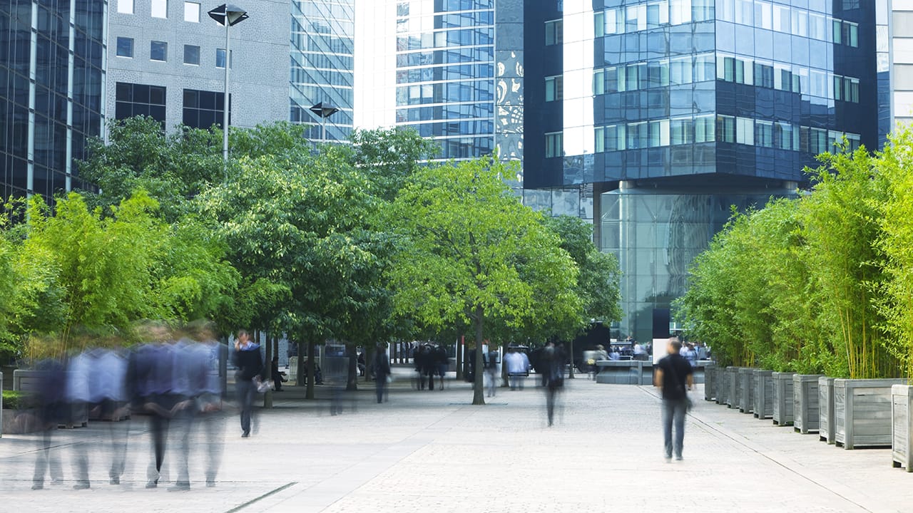 Sustainable City Center with Green Space