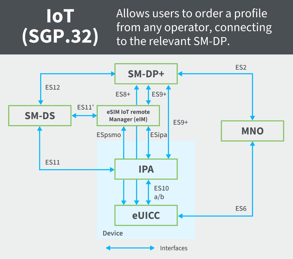What Is An ESIM Digi International