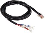 RJ45/Bare Wire 48 Inch Cable