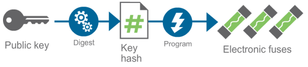 Hash programming